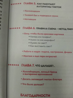 Арина Ростовская: Озвучь мечту! Как стать №1 в ТикТок