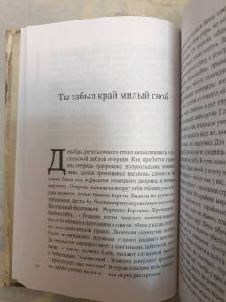 Михаил Елизаров: Скорлупы. Кубики