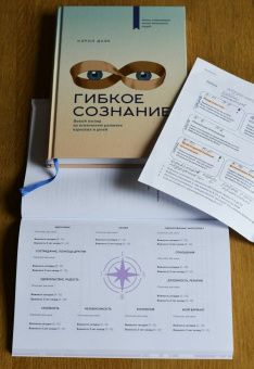 Шлейдер, Малларки, Добиас: Развиваем гибкое мышление