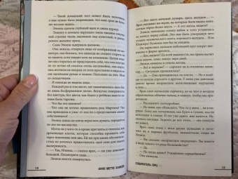 Анне Ханкок: Собиратель лиц
