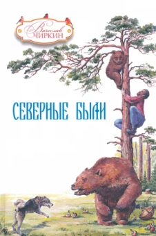 Вячеслав Чиркин: Северные были