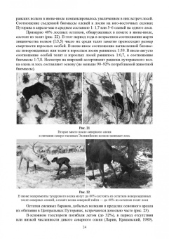 Анатолий Суворов: Основы полевых наблюдений. Следы жизнедеятельности зверей и птиц. Учебник для СПО