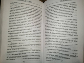 Гарсиа Саэнс де Уртури Эва: Жало белого города
