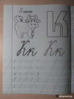 Прописи "Е - Енот"