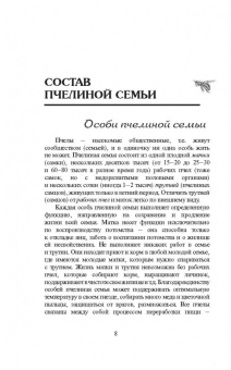 Пчеловодство для всех. Как перестать покупать мед