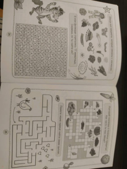 Кроссворды, игры, ребусы. Развиваем логику