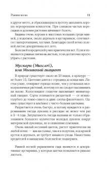 Галина Кизима: Цветник для тех, кому за... без лишних усилий