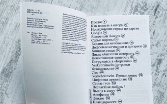 Эми Липтрот: Момент