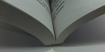 Татьяна Луганцева: Порядочная дама для беспорядка