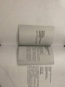 Иван Соловьев: Уголовный кодекс Российской Федерации. Подробный иллюстрированный комментарий для подростков
