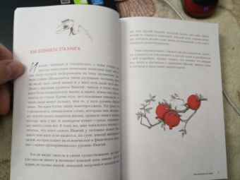 Беттина Лемке: Икигай. Японское искусство поиска счастья и смысла в повседневной жизни