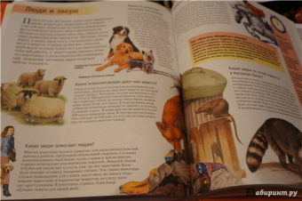 Брукс, Тейлор, Рид: Новая книга знаний