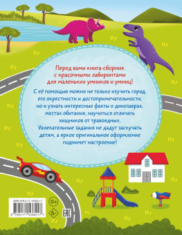 Большая книга лабиринтов для самых любознательных
