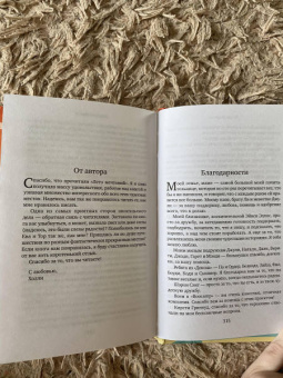 Холли Мартин: Лето мечтаний