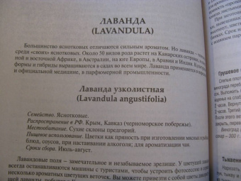 Вишневский, Замятина: Готовим из дикоросов. Травы