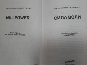 Баумастер, Тирни: Сила воли. Возьми свою жизнь под контроль