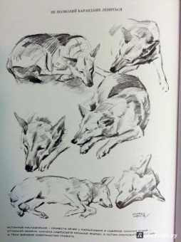 Эндрю Лумис: Искусство иллюстрации