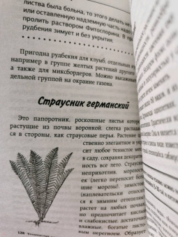 Галина Кизима: Неприхотливый цветник. Правила и советы для начинающих