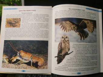 Людмила Соколова: Что? Где? Почему?