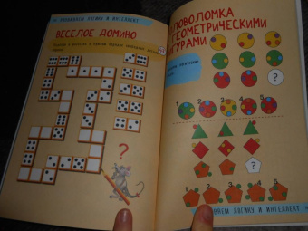 Попова, Третьякова: 250 лучших лабиринтов и головоломок