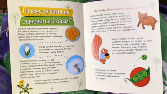 Анна Булгакова: Растения
