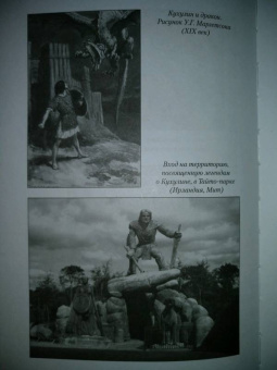 Легенды Зеленого острова. Ирландские саги