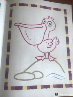 Первые птички. Книжка-раскраска