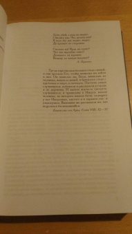 Федор Достоевский: Полное собрание сочинений и писем. В 35 томах. Том 10. Бесы