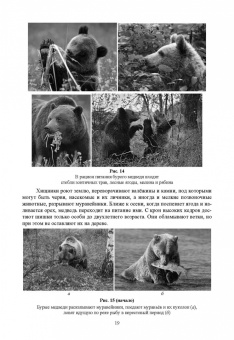 Анатолий Суворов: Основы полевых наблюдений. Следы жизнедеятельности зверей и птиц. Учебник для СПО