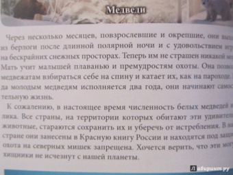 Ярослава Соколова: Хочу знать. Медведи