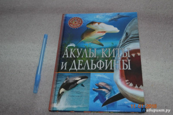 Акулы, киты и дельфины