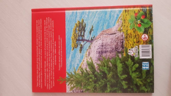 Растительный мир России. Популярная детская энциклопедия