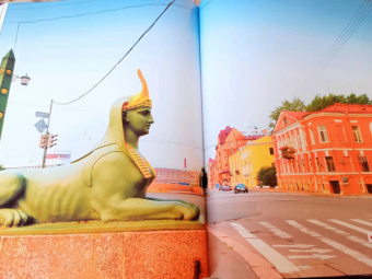 Агнесса Невская: С моста виднее. 50 мостов Петербурга, которые расскажут свою версию истории города