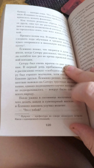 Хиро Арикава: Хроники странствующего кота