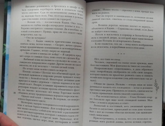Антонина Крейн: Шолох. Теневые блики