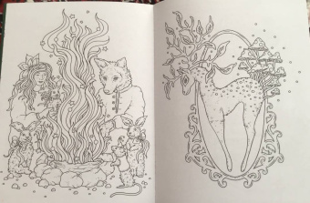 Ханна Карлсон: Волшебные истории. Заколдованный лес