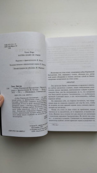 Виктор Гюго: Собор Парижской Богоматери