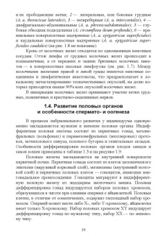 Дюльгер, Дюльгер, Седлецкая: Акушерство, гинекология и биотехника размножения кошек. Учебное пособие для вузов