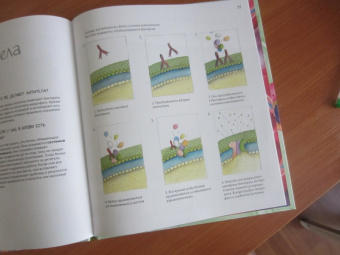 Боэрле, Ланда: Путешествие в мир клетки. Нескучная наука