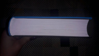 Гарсиа Саэнс де Уртури Эва: Жало белого города