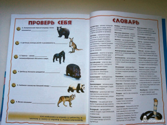 Энциклопедия животных для маленьких почемучек