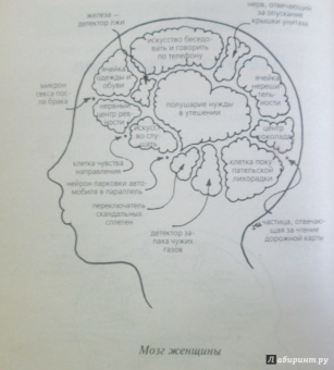 Пиз, Пиз: Язык взаимоотношений. Как научиться общаться с противоположным полом без конфликтов