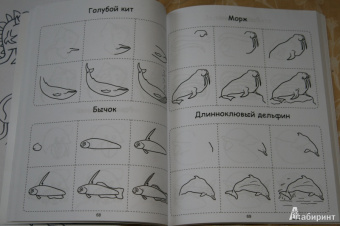 404 забавных рисунка