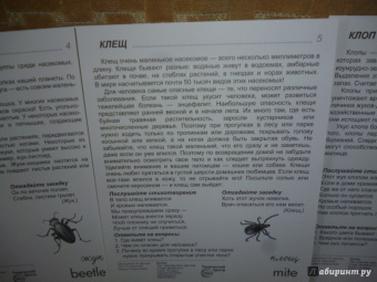 Цветкова, Шорыгина: Демонстрационные картинки "Насекомые" (16 картинок)