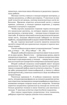 Степанов, Родина, Попкова: Животноводство. Практикум. Учебное пособие для СПО