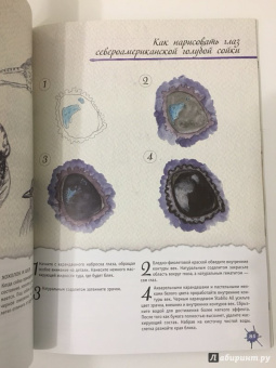 Джина Армфельд: Акварельные животные