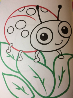 Первые букашки. Книжка-раскраска