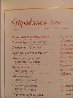 Реглиндис Рорингер: Моя книга домашних заготовок. Готовим сами:  джемы, ликеры, конфеты
