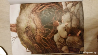 Елена Жданова: Сказки сибирских деревень