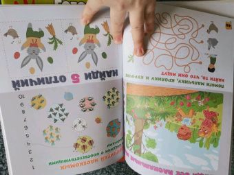 Шибко, Мороз: Спрятанные картинки. Найди и покажи